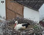 Capi_Dubne_20250503_174503.jpg