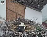 Capi_Dubne_20250503_181003.jpg