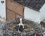Capi_Dubne_20250503_181503.jpg