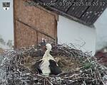 Capi_Dubne_20250503_182002.jpg