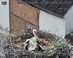 Capi_Dubne_20250503_182503.jpg