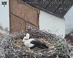 Capi_Dubne_20250503_183502.jpg