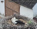 Capi_Dubne_20250503_184003.jpg