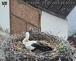Capi_Dubne_20250503_184503.jpg