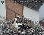 Capi_Dubne_20250503_190003.jpg