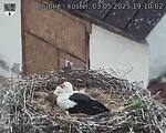 Capi_Dubne_20250503_191002.jpg