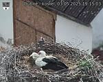 Capi_Dubne_20250503_191503.jpg