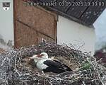 Capi_Dubne_20250503_193003.jpg