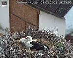 Capi_Dubne_20250503_193503.jpg