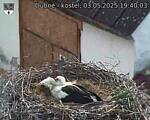 Capi_Dubne_20250503_194003.jpg