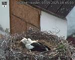 Capi_Dubne_20250503_194503.jpg