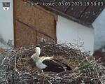 Capi_Dubne_20250503_195003.jpg
