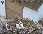 Capi_Dubne_20250503_200002.jpg