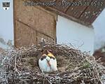 Capi_Dubne_20250503_200502.jpg