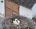 Capi_Dubne_20250503_202002.jpg