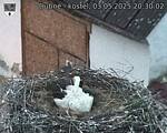 Capi_Dubne_20250503_203002.jpg