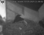 Capi_Dubne_20250503_210002.jpg
