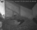 Capi_Dubne_20250503_210502.jpg
