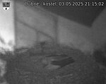Capi_Dubne_20250503_211502.jpg