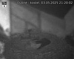 Capi_Dubne_20250503_212002.jpg
