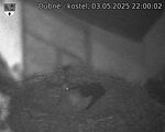 Capi_Dubne_20250503_220002.jpg