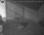 Capi_Dubne_20250503_222003.jpg