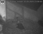 Capi_Dubne_20250503_230003.jpg
