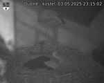 Capi_Dubne_20250503_231502.jpg