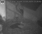 Capi_Dubne_20250503_232002.jpg