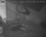 Capi_Dubne_20250503_232503.jpg