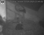 Capi_Dubne_20250503_234502.jpg