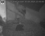Capi_Dubne_20250503_235503.jpg