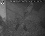 Capi_Dubne_20250504_000002.jpg