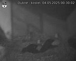 Capi_Dubne_20250504_003002.jpg