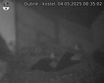 Capi_Dubne_20250504_003502.jpg