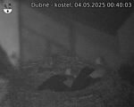 Capi_Dubne_20250504_004003.jpg