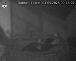 Capi_Dubne_20250504_004502.jpg