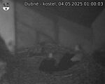 Capi_Dubne_20250504_010003.jpg