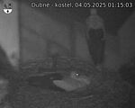 Capi_Dubne_20250504_011503.jpg