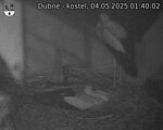 Capi_Dubne_20250504_014002.jpg