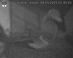 Capi_Dubne_20250504_014503.jpg