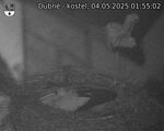 Capi_Dubne_20250504_015502.jpg