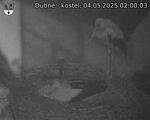 Capi_Dubne_20250504_020003.jpg
