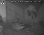 Capi_Dubne_20250504_023502.jpg