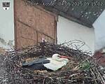 Capi_Dubne_20250504_091502.jpg