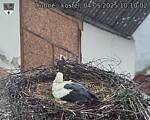 Capi_Dubne_20250504_101002.jpg