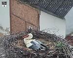 Capi_Dubne_20250504_101504.jpg