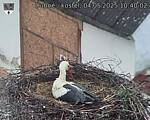 Capi_Dubne_20250504_104002.jpg