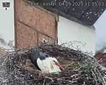 Capi_Dubne_20250504_110503.jpg