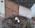 Capi_Dubne_20250504_111002.jpg